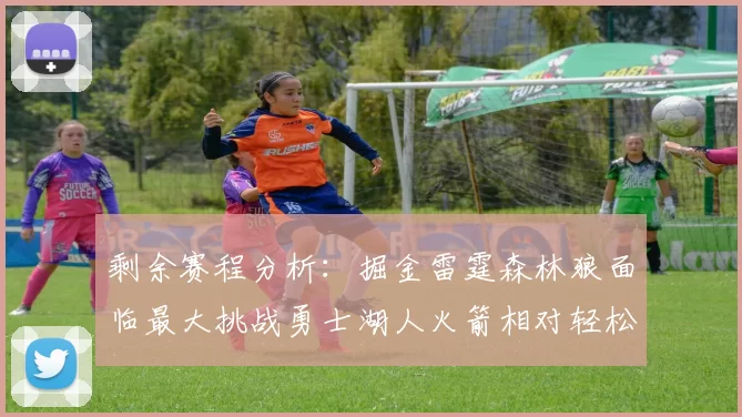 剩余赛程分析：掘金雷霆森林狼面临最大挑战勇士湖人火箭相对轻松