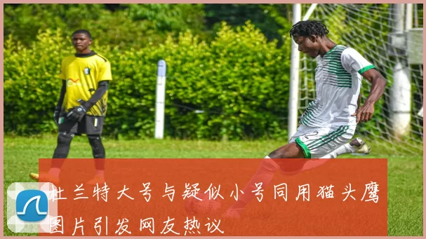 杜兰特大号与疑似小号同用猫头鹰图片引发网友热议